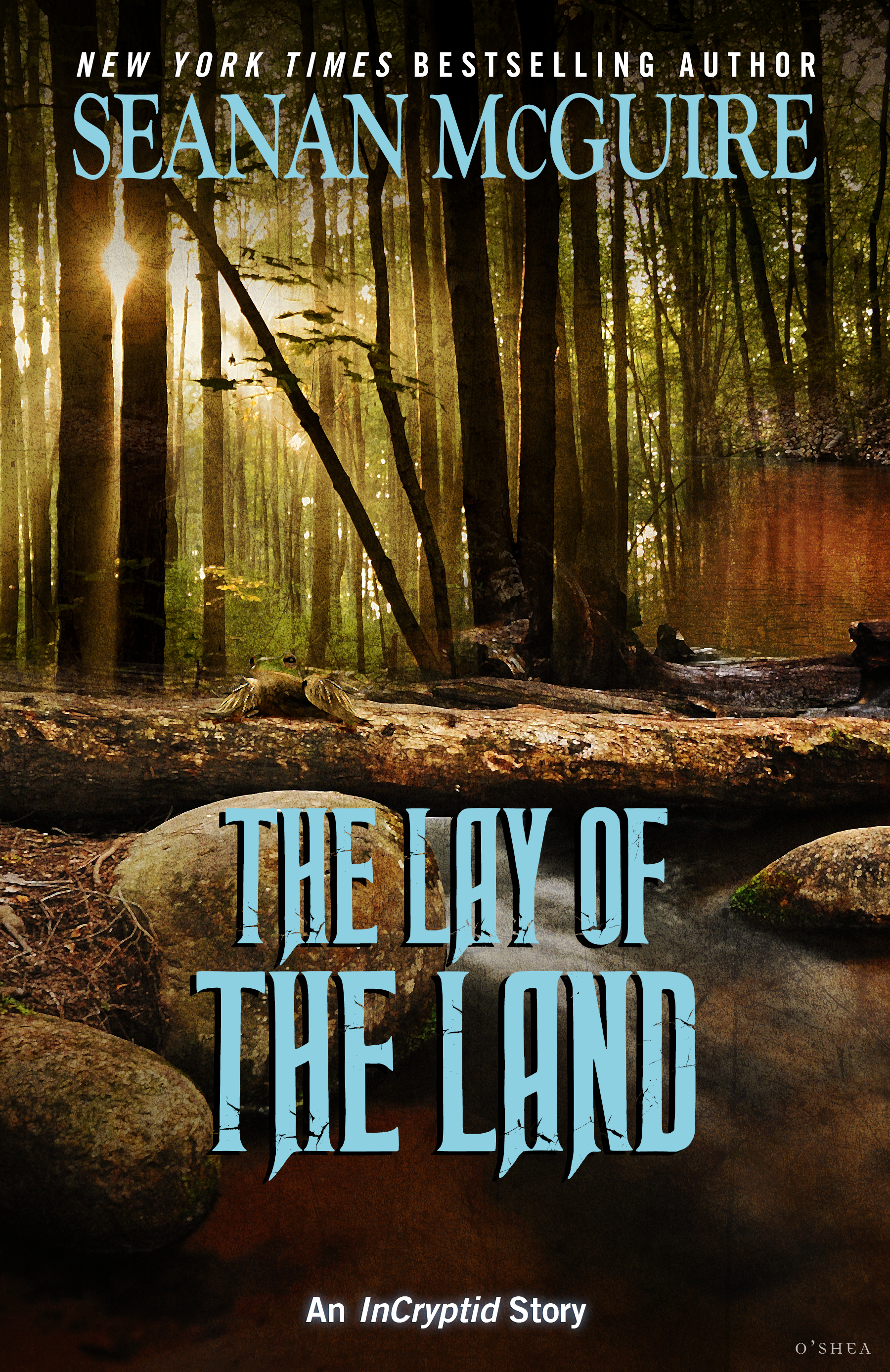 The Lay of the Land
